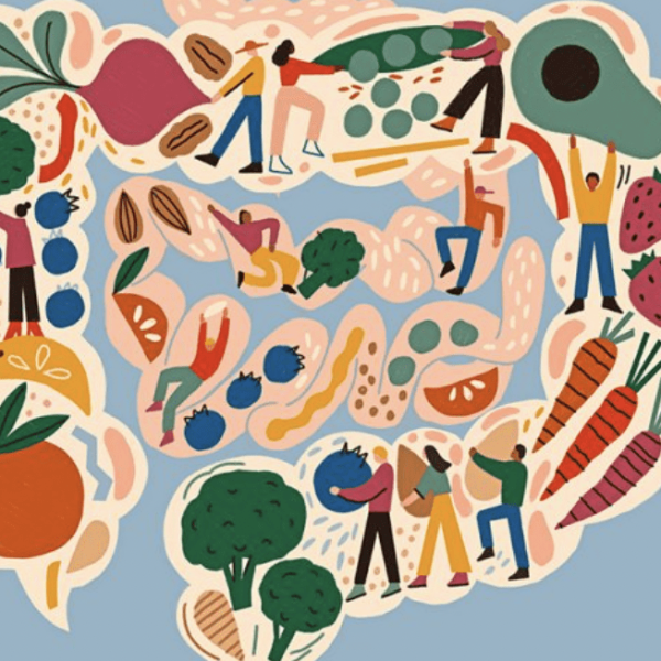 Understanding the Signs of an Unhealthy Gut
