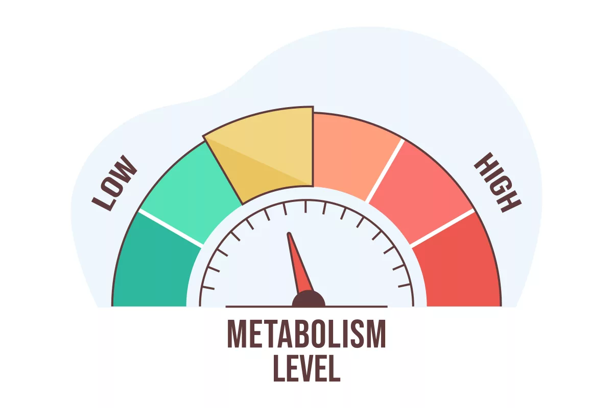 How old is your body, really? How to improve BMR and metabolic age