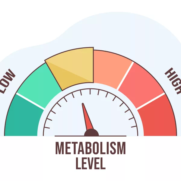 How old is your body, really? How to improve BMR and metabolic age