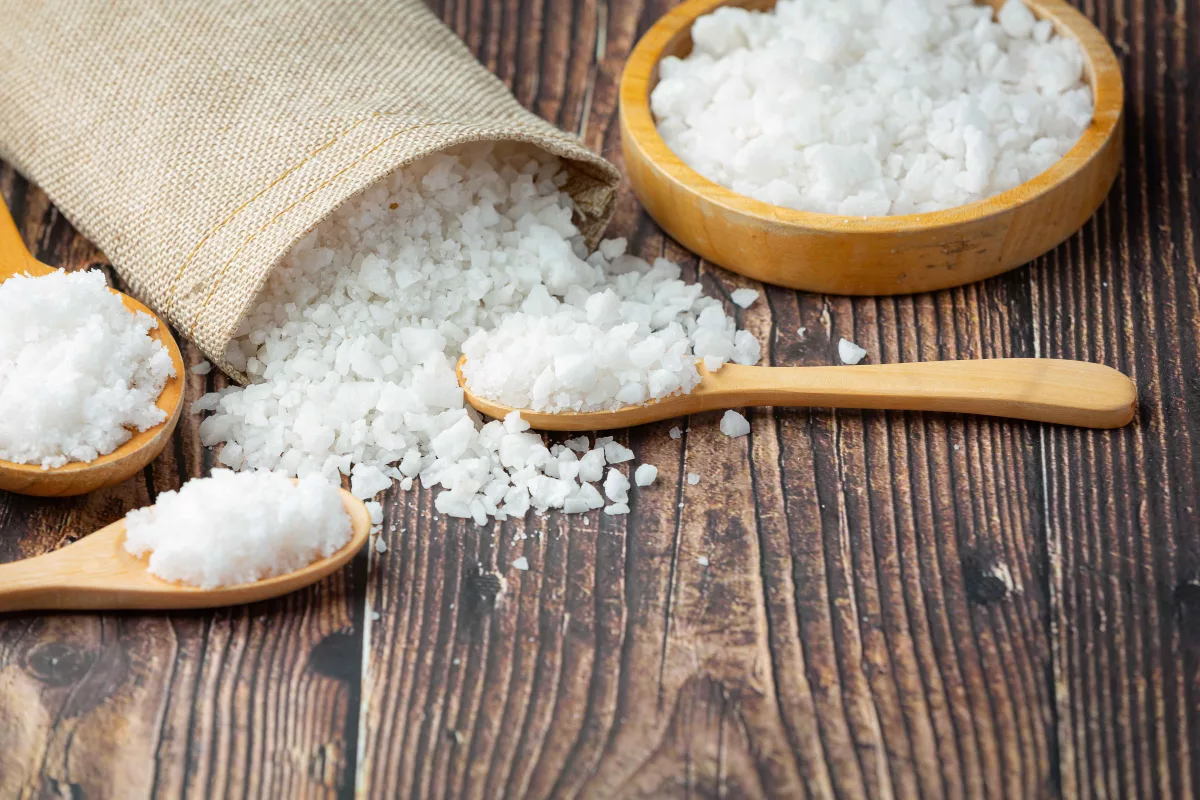 Salt: Everything you need to know in one place